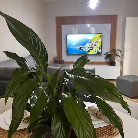 New Modern Апартаменты